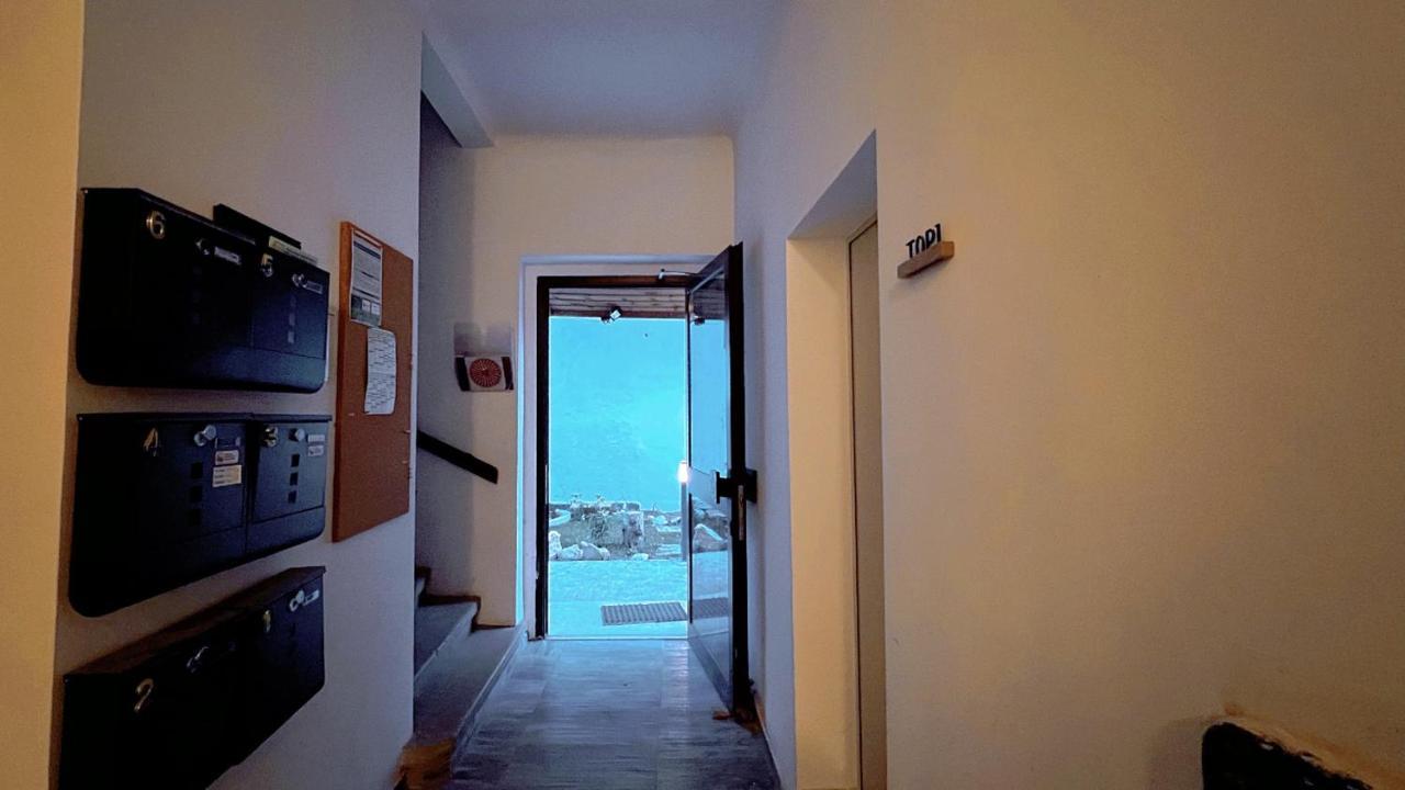 بادن Wilson Paradise المظهر الخارجي الصورة